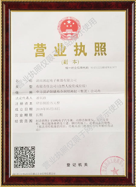 湖南湘起电子衡器有限公司,湖南电子衡器购买,湖南电子衡器制作,湖南电子衡器哪里好