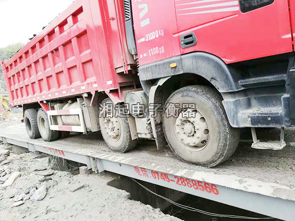 湖南湘起电子衡器有限公司,湖南电子衡器购买,湖南电子衡器制作,湖南电子衡器哪里好