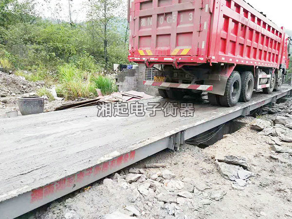 湖南湘起电子衡器有限公司,湖南电子衡器购买,湖南电子衡器制作,湖南电子衡器哪里好